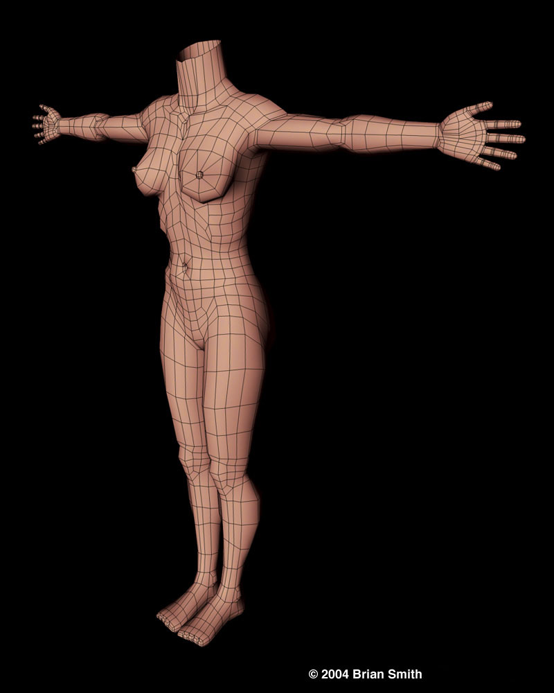 Lisa body wireframe render